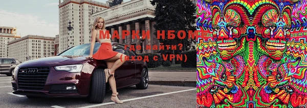 твердый Аркадак