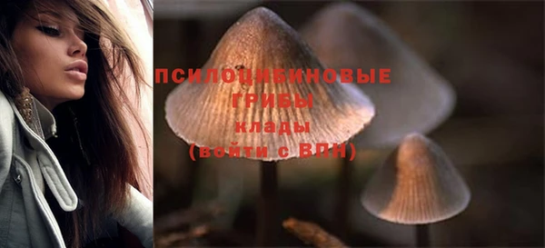 a pvp Семилуки