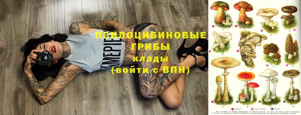 мяу мяу мука Армянск