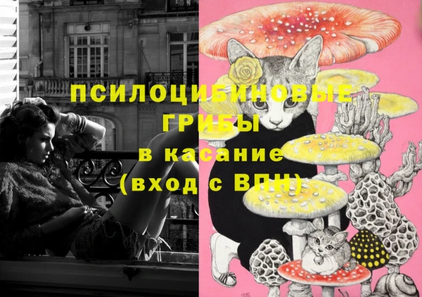 твердый Аркадак