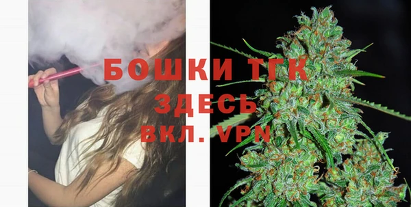 твердый Аркадак