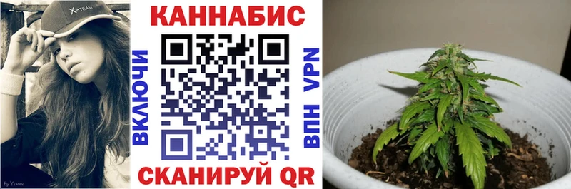 цена   Октябрьск  Шишки марихуана Ganja 